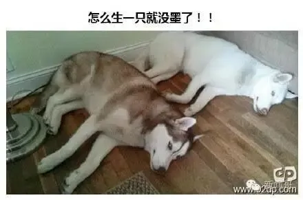 初三学生困电梯5小时,淡定求救并写完作业!我一心只有学习!-第11张图片-四季读书网 初三学生困电梯5小时,淡定求救并写完作业!我一心只有学习!-第11张图片-四季读书网