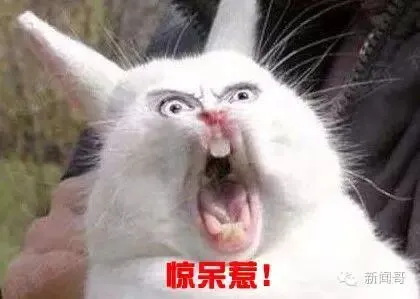 初三学生困电梯5小时,淡定求救并写完作业!我一心只有学习!-第15张图片-四季读书网 初三学生困电梯5小时,淡定求救并写完作业!我一心只有学习!-第15张图片-四季读书网