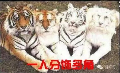 初三学生困电梯5小时,淡定求救并写完作业!我一心只有学习!-第24张图片-四季读书网 初三学生困电梯5小时,淡定求救并写完作业!我一心只有学习!-第24张图片-四季读书网