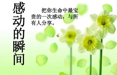 初一第二单元作文学会写事《那一次,我真感动》-第2张图片-四季读书网