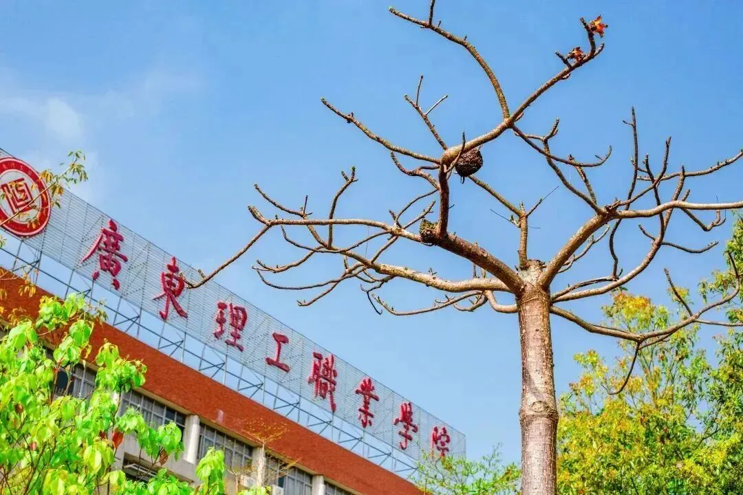 广东理工职业学院2026年春季高考招生录取情况(含3+证书/学考)-第6张图片-四季读书网 广东理工职业学院2026年春季高考招生录取情况(含3+证书/学考)-第6张图片-四季读书网