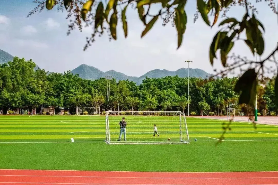 广东理工职业学院2026年春季高考招生录取情况(含3+证书/学考)-第11张图片-四季读书网 广东理工职业学院2026年春季高考招生录取情况(含3+证书/学考)-第11张图片-四季读书网