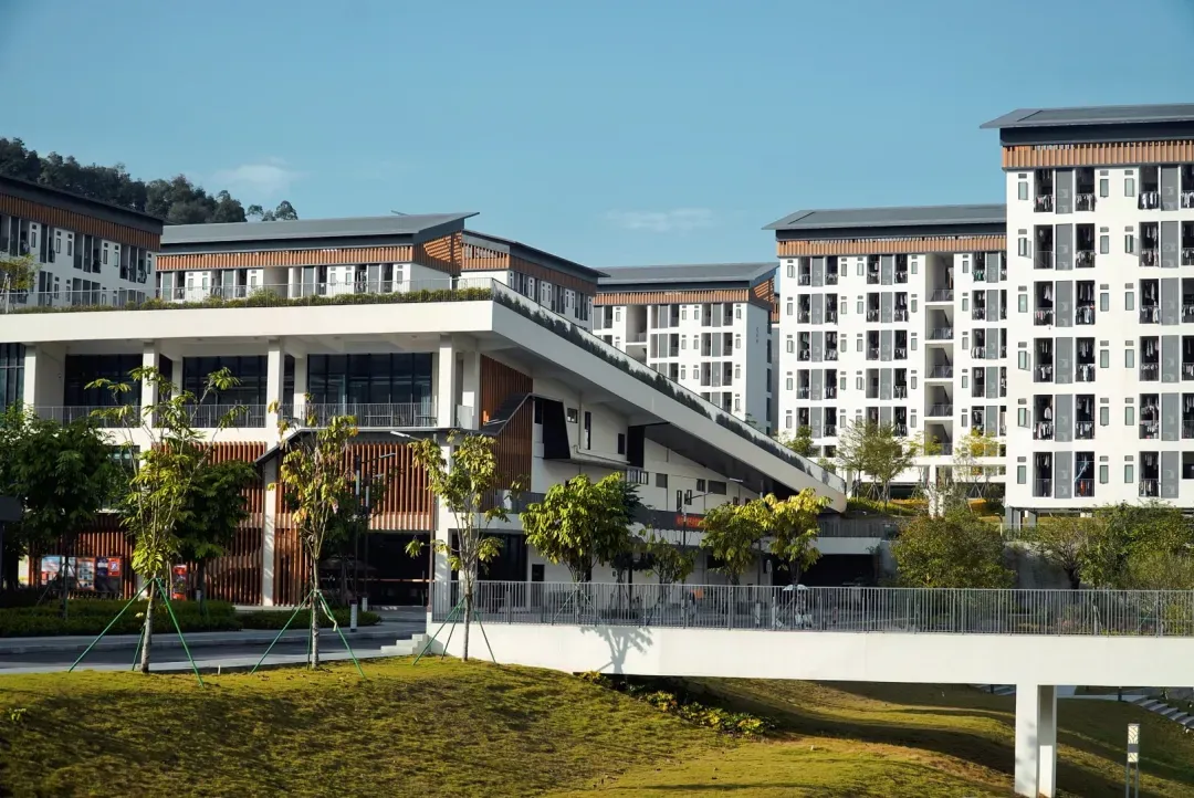 广东云浮中医药职业学院2026年春季高考招生录取情况(含3+证书/学考)-第7张图片-四季读书网 广东云浮中医药职业学院2026年春季高考招生录取情况(含3+证书/学考)-第7张图片-四季读书网