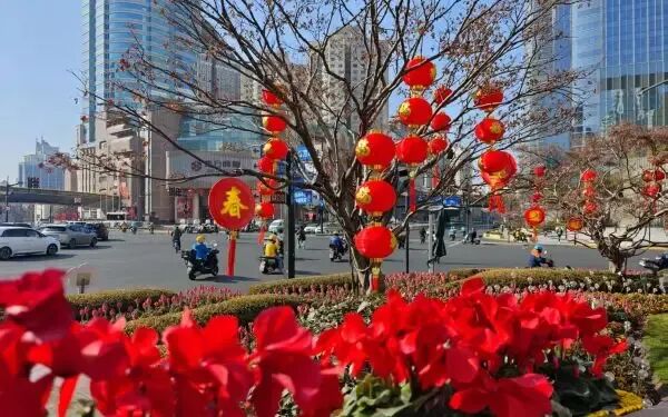 2026年上海高考招生大数据分析,理工类高校招生规模最大-第3张图片-四季读书网
