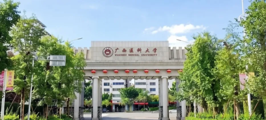 子墨高考志愿填报资讯|广东高考资讯,广西医科大学2026年广东省录取数据汇总,供2027考生参考!-第4张图片-四季读书网