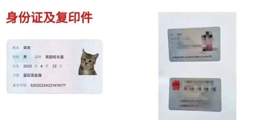 2027年湖南高考报名材料一览表-第3张图片-四季读书网 2027年湖南高考报名材料一览表-第3张图片-四季读书网