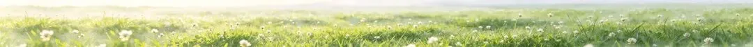 初三别瞎忙!真正厉害的学生,都懂“高效攒时间”-第1张图片-四季读书网