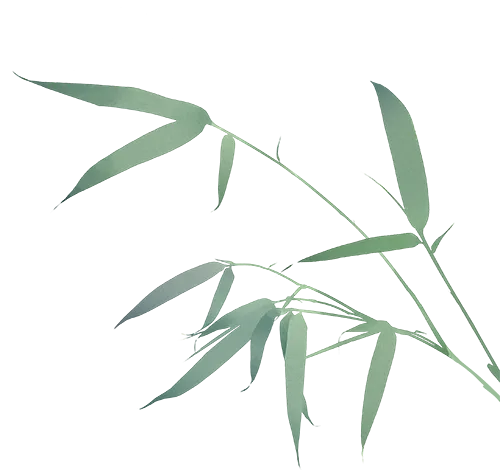 初二上新教材——凸透镜小评-第4张图片-四季读书网