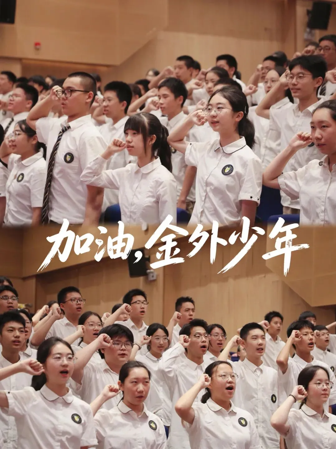 少年当扶摇,砺剑启新程 ——我校举行初三年级动员大会-第29张图片-四季读书网