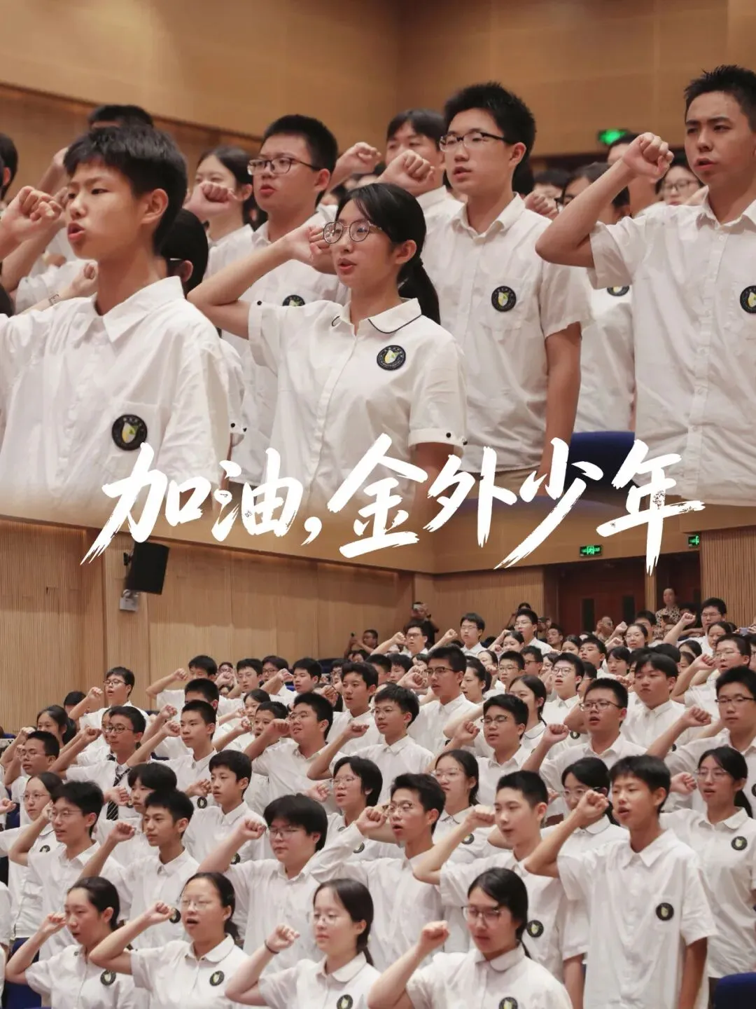 少年当扶摇,砺剑启新程 ——我校举行初三年级动员大会-第30张图片-四季读书网