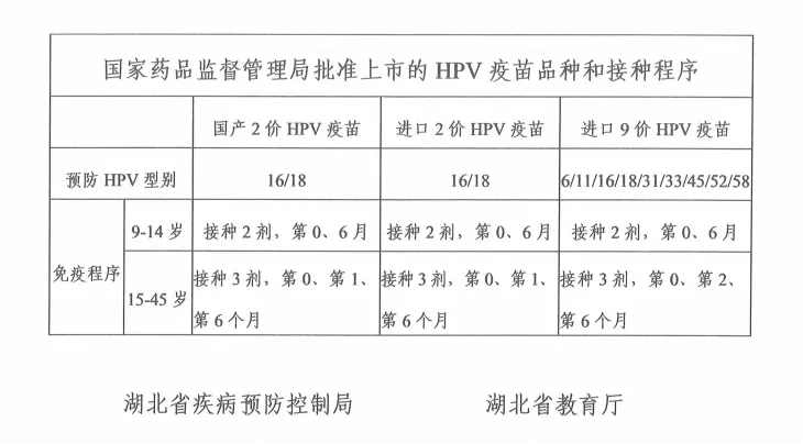 @初一女生家长,江汉区初一女生HPV疫苗接种“绿色通道”已开启,快给孩子安排上!-第2张图片-四季读书网