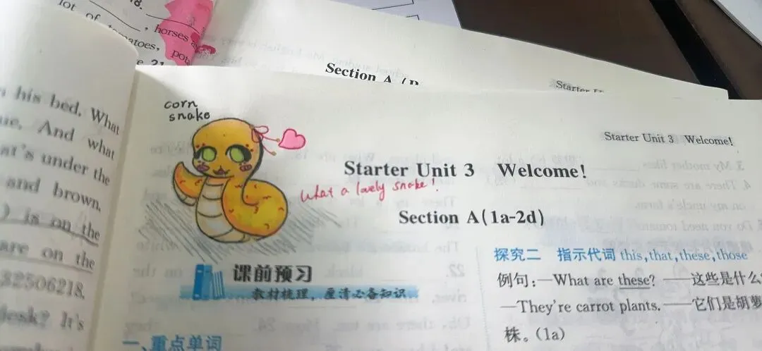 初三家长跟我说:初一最后悔的,就是没盯住这件事!-第5张图片-四季读书网 初三家长跟我说:初一最后悔的,就是没盯住这件事!-第5张图片-四季读书网