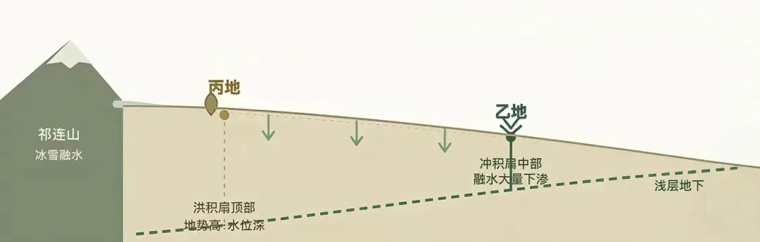 2026上海跨学科一模试卷评析(刷题训练营精讲)-第3张图片-四季读书网