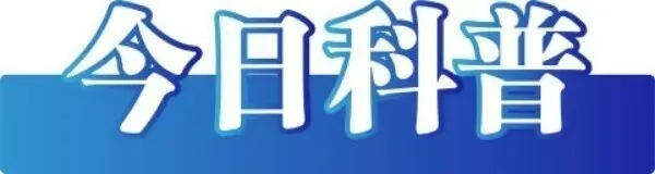 上海、成都辟谣“取消中考”——今日辟谣(2025年10月23日)-第4张图片-四季读书网