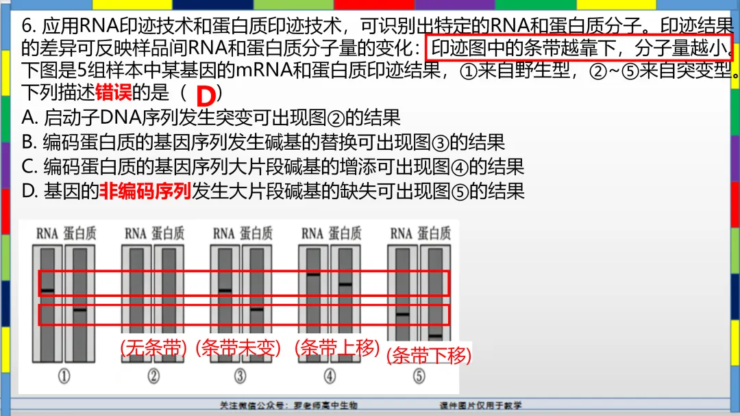 2026高考生物试卷分析(甘肃卷)-第9张图片-四季读书网 2026高考生物试卷分析(甘肃卷)-第9张图片-四季读书网