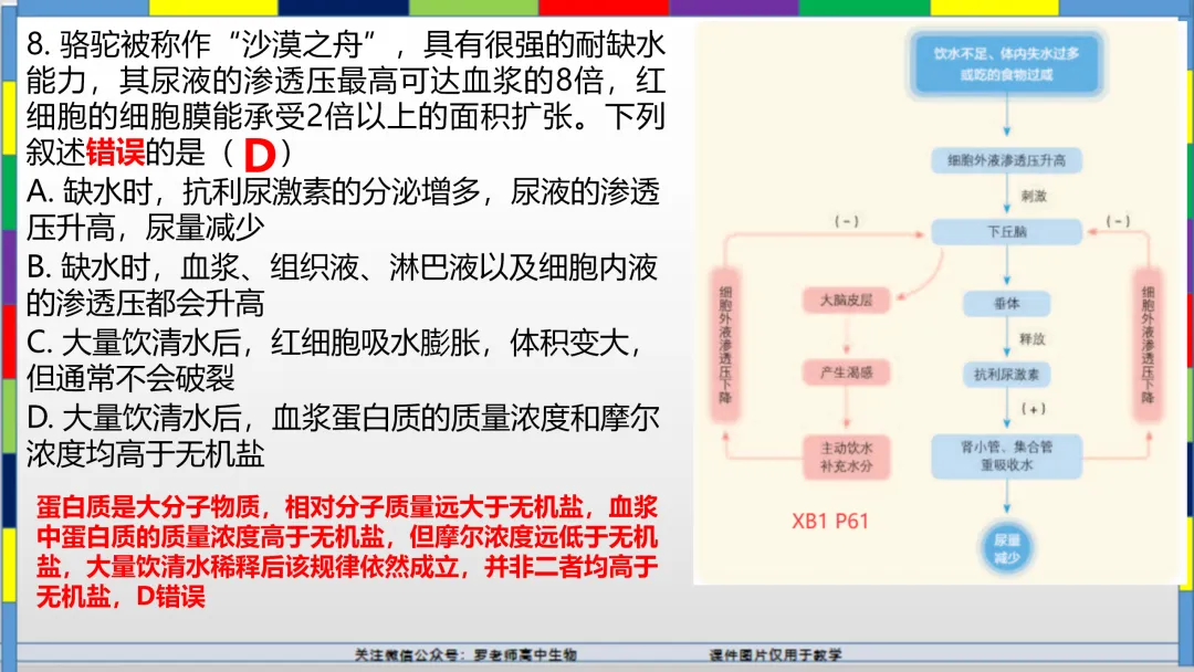 2026高考生物试卷分析(甘肃卷)-第11张图片-四季读书网 2026高考生物试卷分析(甘肃卷)-第11张图片-四季读书网