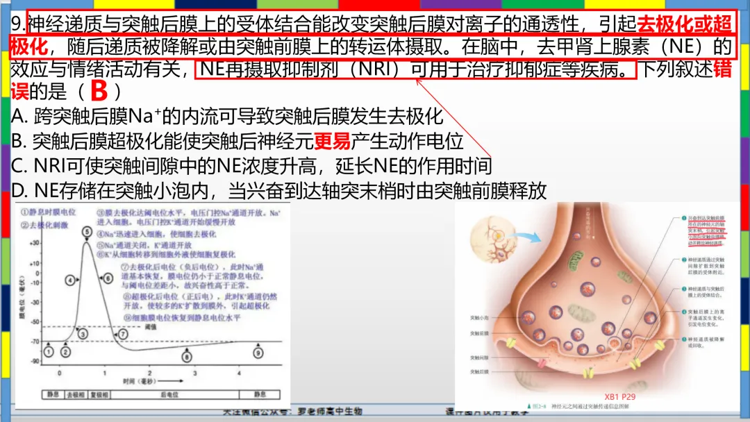 2026高考生物试卷分析(甘肃卷)-第12张图片-四季读书网 2026高考生物试卷分析(甘肃卷)-第12张图片-四季读书网