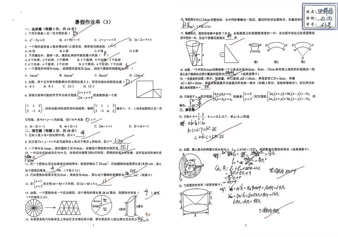 暑期优秀作业展・数学篇|跳出试卷,邂逅多姿多彩的数学世界-第29张图片-四季读书网 暑期优秀作业展・数学篇|跳出试卷,邂逅多姿多彩的数学世界-第29张图片-四季读书网