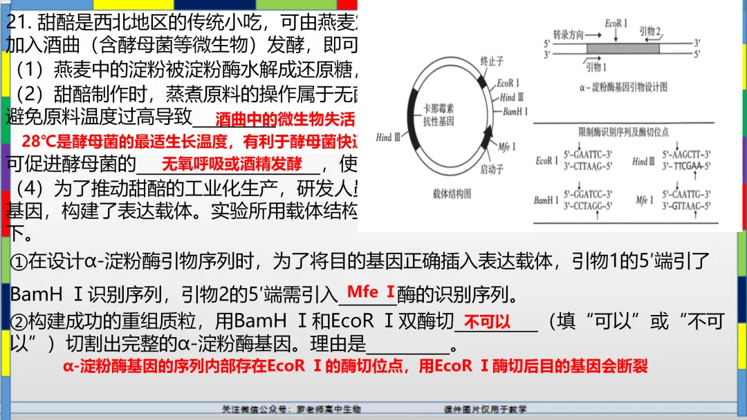 2026高考生物试卷分析(甘肃卷)-第26张图片-四季读书网 2026高考生物试卷分析(甘肃卷)-第26张图片-四季读书网