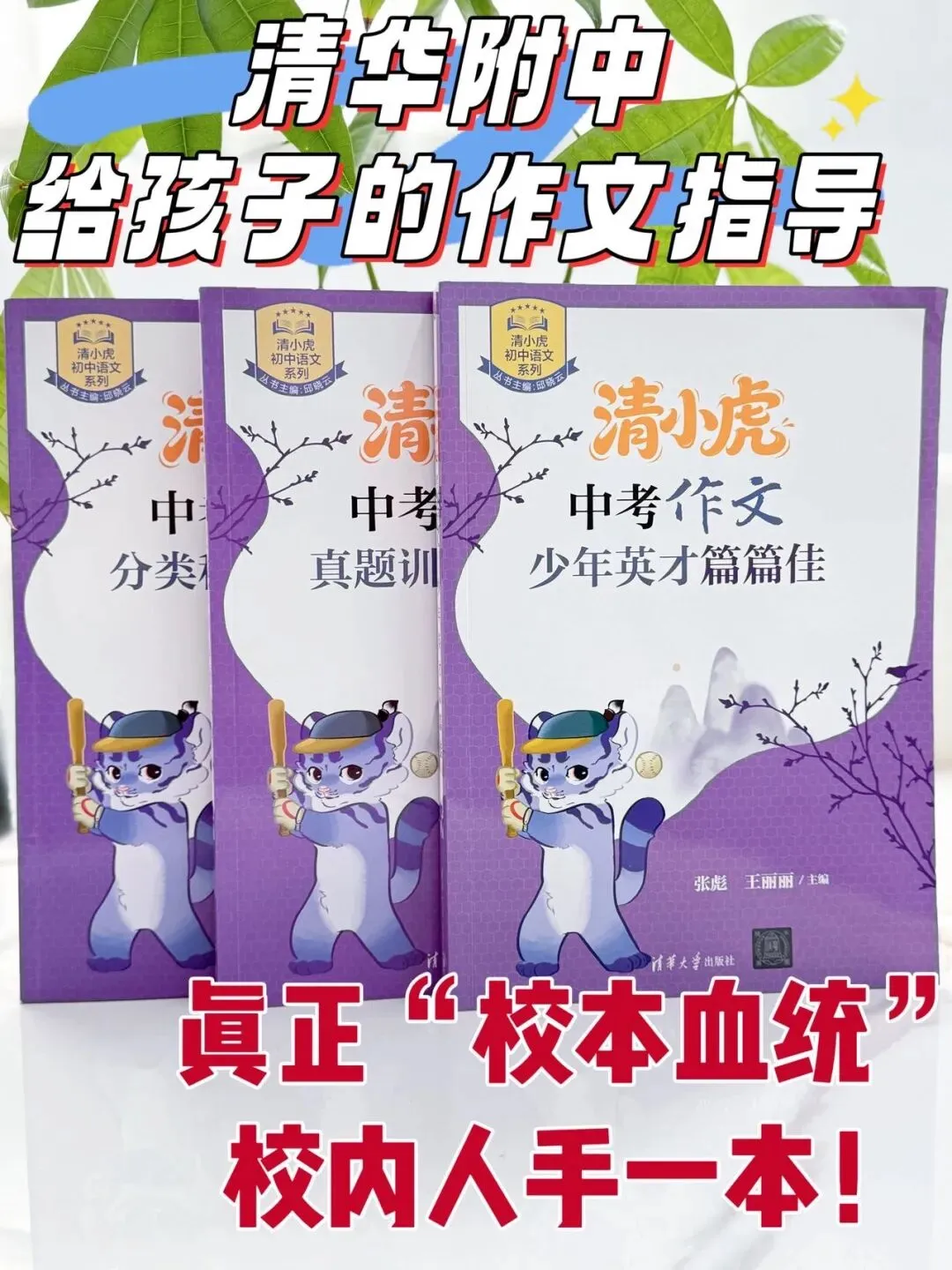 清小虎“中考作文系列” 《真题训练题题通》《分类积累样样全》《少年英才篇篇佳》整个作文系列,从素材积累到范文示例再到训练-第2张图片-四季读书网