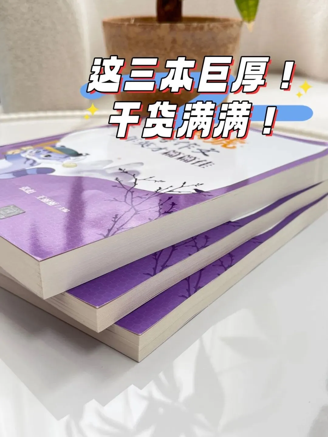 清小虎“中考作文系列” 《真题训练题题通》《分类积累样样全》《少年英才篇篇佳》整个作文系列,从素材积累到范文示例再到训练-第9张图片-四季读书网