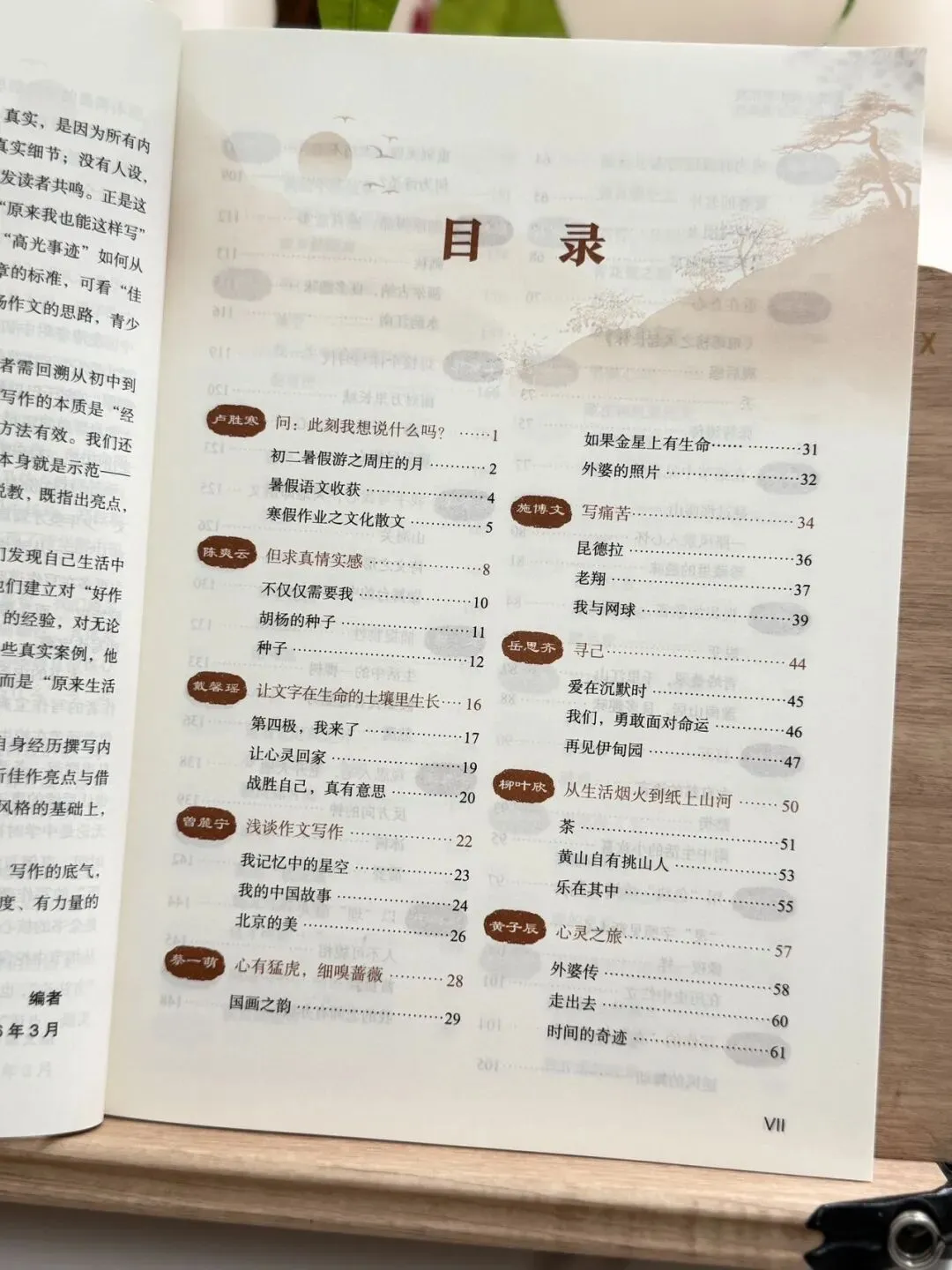 清小虎“中考作文系列” 《真题训练题题通》《分类积累样样全》《少年英才篇篇佳》整个作文系列,从素材积累到范文示例再到训练-第11张图片-四季读书网