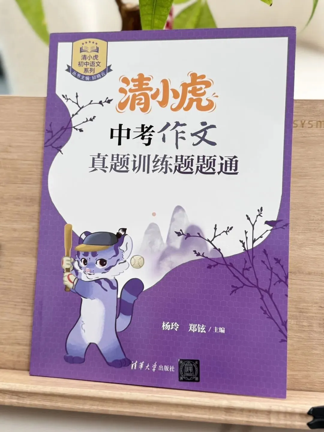 清小虎“中考作文系列” 《真题训练题题通》《分类积累样样全》《少年英才篇篇佳》整个作文系列,从素材积累到范文示例再到训练-第20张图片-四季读书网