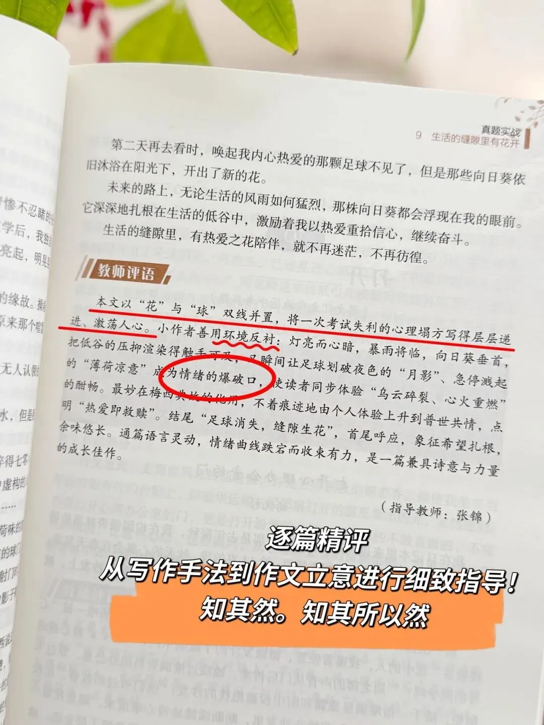 清小虎“中考作文系列” 《真题训练题题通》《分类积累样样全》《少年英才篇篇佳》整个作文系列,从素材积累到范文示例再到训练-第29张图片-四季读书网