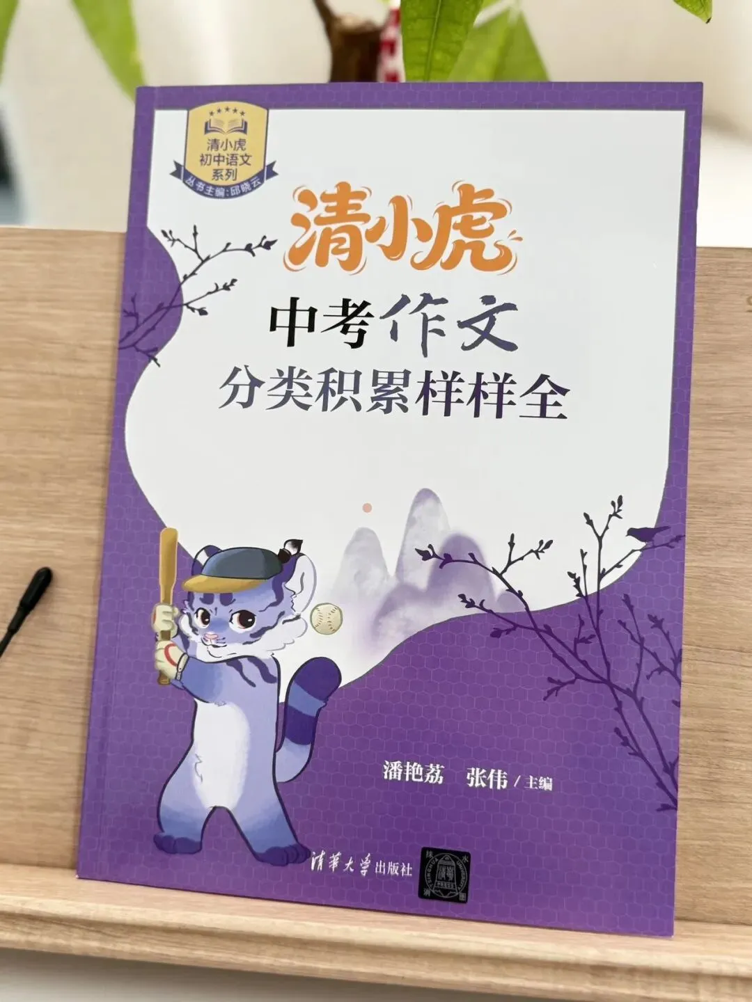 清小虎“中考作文系列” 《真题训练题题通》《分类积累样样全》《少年英才篇篇佳》整个作文系列,从素材积累到范文示例再到训练-第30张图片-四季读书网