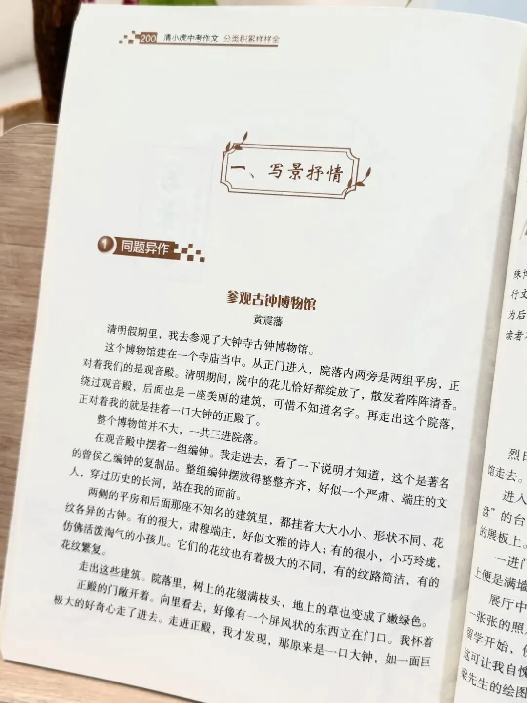 清小虎“中考作文系列” 《真题训练题题通》《分类积累样样全》《少年英才篇篇佳》整个作文系列,从素材积累到范文示例再到训练-第36张图片-四季读书网