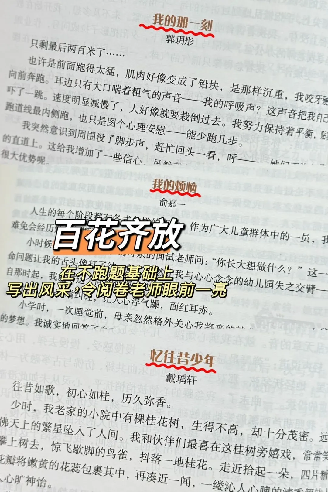 清小虎“中考作文系列” 《真题训练题题通》《分类积累样样全》《少年英才篇篇佳》整个作文系列,从素材积累到范文示例再到训练-第38张图片-四季读书网