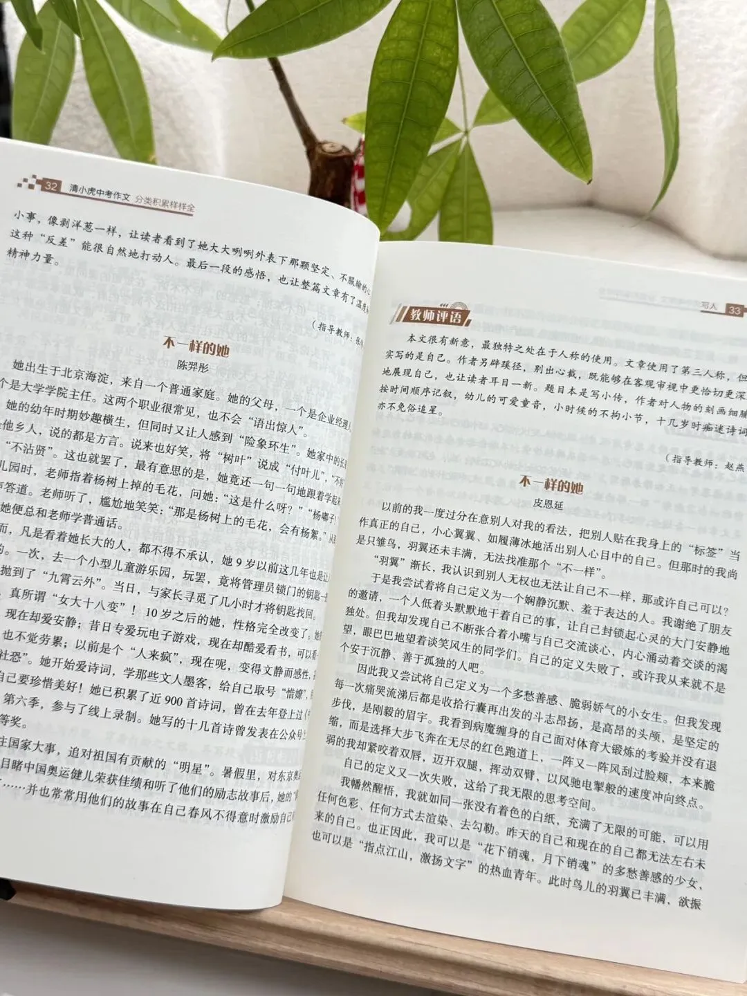 清小虎“中考作文系列” 《真题训练题题通》《分类积累样样全》《少年英才篇篇佳》整个作文系列,从素材积累到范文示例再到训练-第39张图片-四季读书网