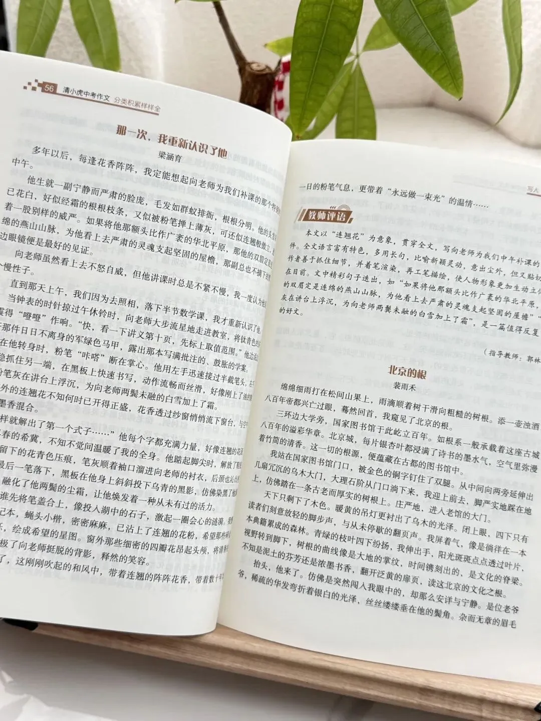 清小虎“中考作文系列” 《真题训练题题通》《分类积累样样全》《少年英才篇篇佳》整个作文系列,从素材积累到范文示例再到训练-第40张图片-四季读书网