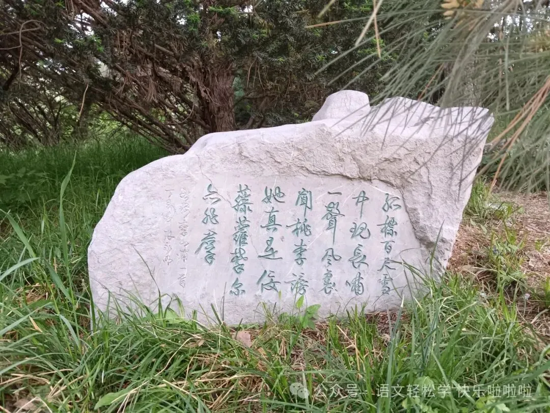 2027高考文言文实词六大推断方法(以2023—2026年高考文言翻译真题为例)-第19张图片-四季读书网 2027高考文言文实词六大推断方法(以2023—2026年高考文言翻译真题为例)-第19张图片-四季读书网