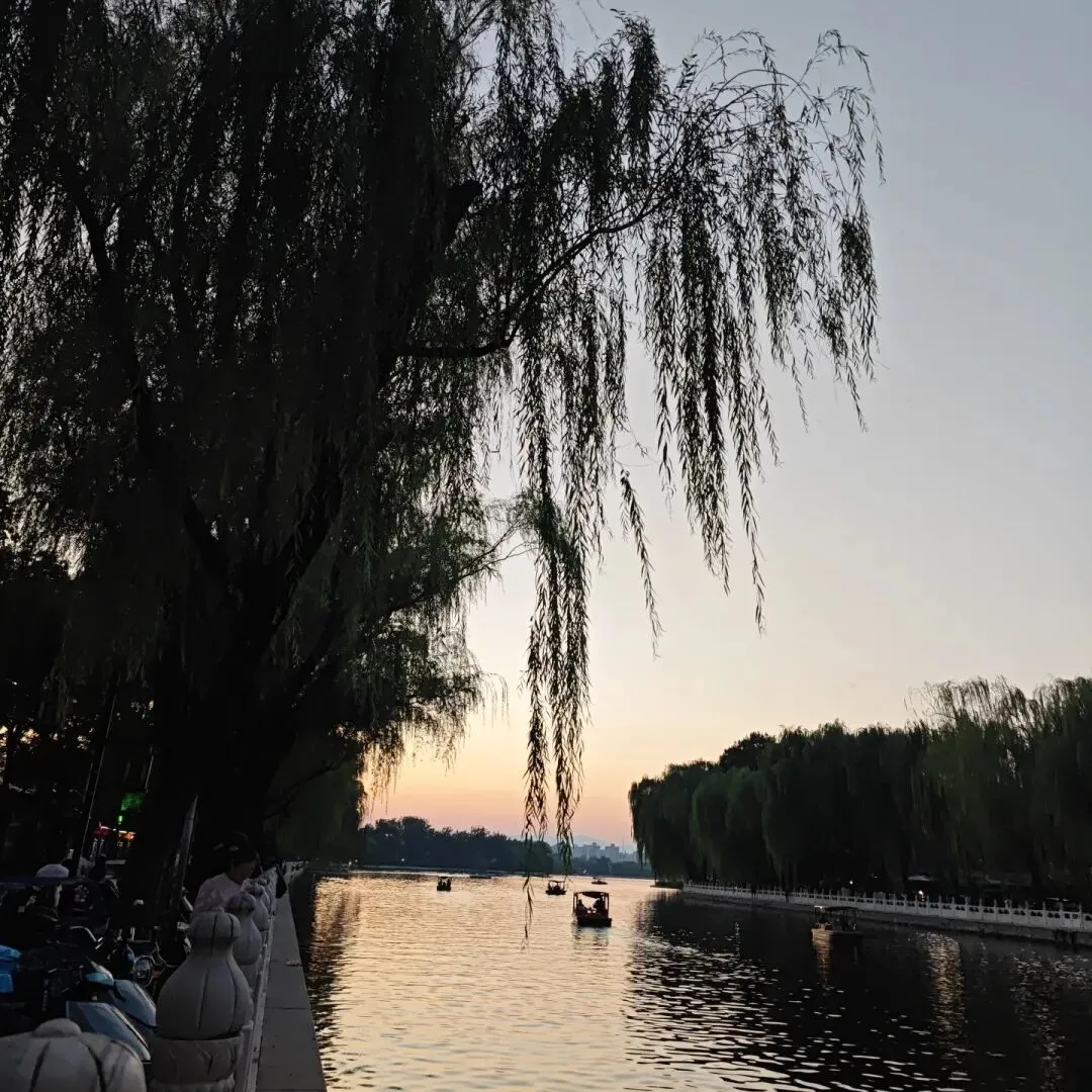 是什么让我坚持写日记,从初三到现在-第2张图片-四季读书网