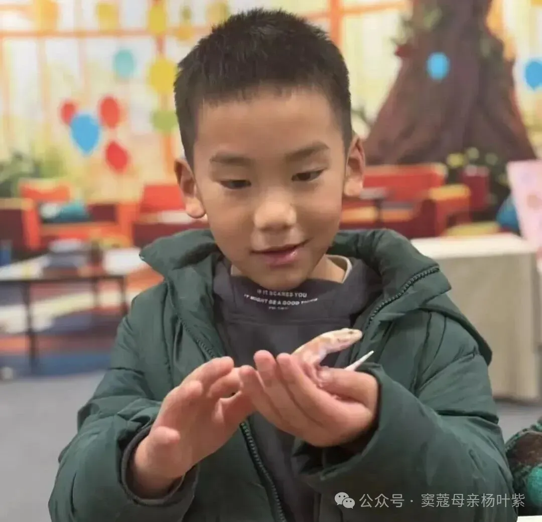 【王东华母教幼读·英语讲话】我对英语高考试卷出题要求的分析,首先重读(110分),其次听(30分),写最次,整个卷面300个词足够(一)-第18张图片-四季读书网