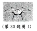 2026年浙江中考综合题解答思路分析-第1张图片-四季读书网 2026年浙江中考综合题解答思路分析-第1张图片-四季读书网