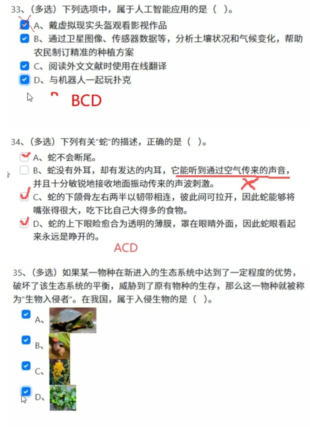金钥匙竞赛攻略(含上届答题录屏和真题)-第9张图片-四季读书网 金钥匙竞赛攻略(含上届答题录屏和真题)-第9张图片-四季读书网