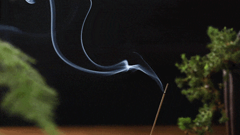 初一十五抢着烧头香,日子却越过越慌?老修行一句话戳破:你烧的是香,缺的是心-第4张图片-四季读书网 初一十五抢着烧头香,日子却越过越慌?老修行一句话戳破:你烧的是香,缺的是心-第4张图片-四季读书网