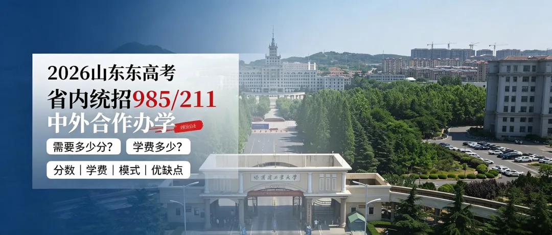 2026 山东高考:省内统招 985/211 中外合作办学,多少分、学费多少?-第3张图片-四季读书网