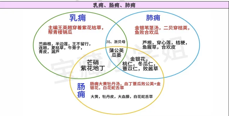27考研 | 跟着宝藏刷真题——中药篇1-第28张图片-四季读书网