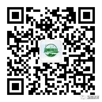 勐腊县 | 2023年高考致全县人民的一份倡议书-第3张图片-四季读书网 勐腊县 | 2023年高考致全县人民的一份倡议书-第3张图片-四季读书网