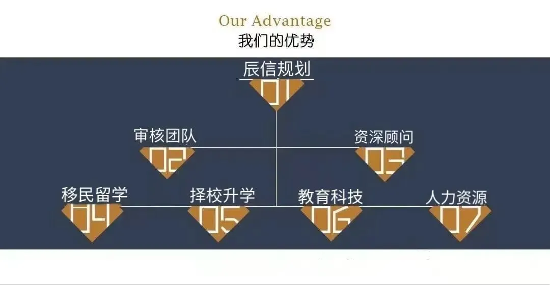 中考后填报思路和技巧:别只盯分数!位次定位+三步填报法,吃透规则不浪费每一分!-第7张图片-四季读书网 中考后填报思路和技巧:别只盯分数!位次定位+三步填报法,吃透规则不浪费每一分!-第7张图片-四季读书网