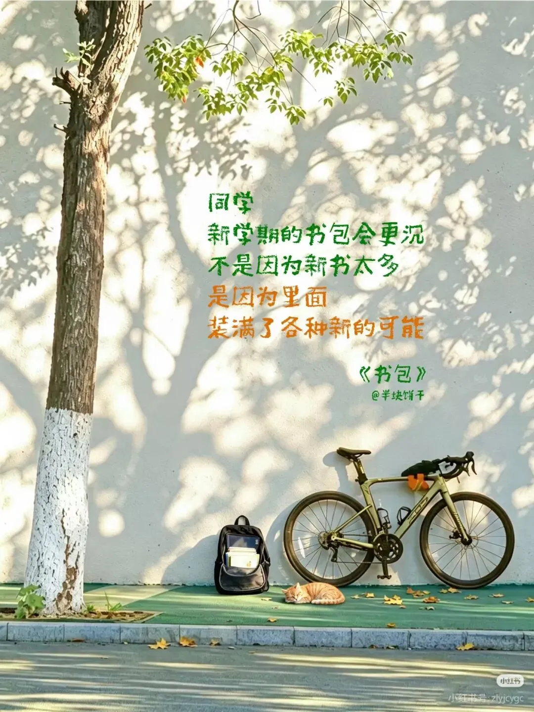 初二试卷练习新模式教学工作总结-第1张图片-四季读书网