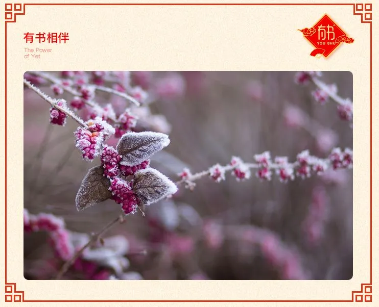 初二回娘家,说说中国人心里的“娘家”-第2张图片-四季读书网