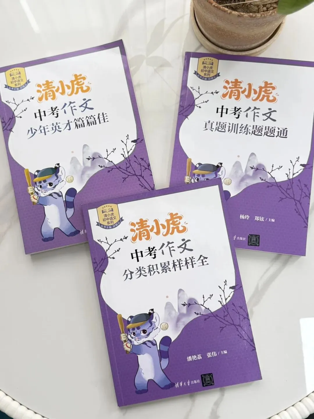 清小虎“中考作文系列”!《真题训练题题通》《分类积累样样全》《少年英才篇篇佳》一条龙解决孩子作文问题-第9张图片-四季读书网