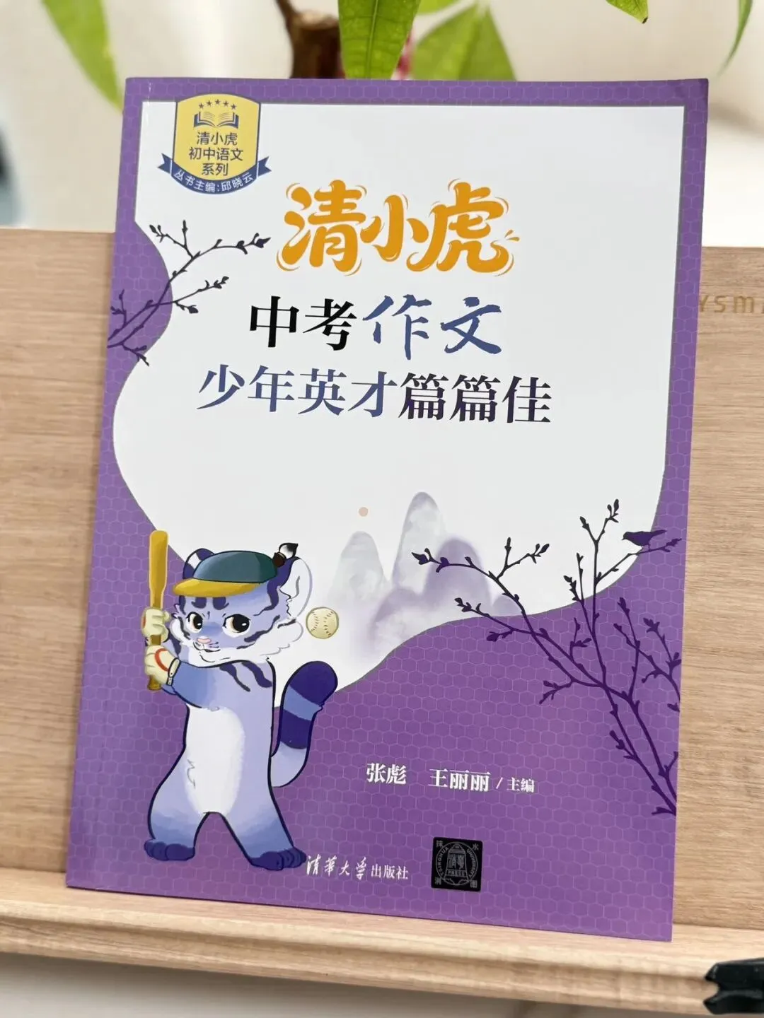 清小虎“中考作文系列”!《真题训练题题通》《分类积累样样全》《少年英才篇篇佳》一条龙解决孩子作文问题-第11张图片-四季读书网
