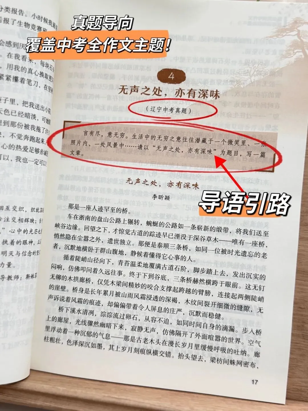 清小虎“中考作文系列”!《真题训练题题通》《分类积累样样全》《少年英才篇篇佳》一条龙解决孩子作文问题-第24张图片-四季读书网