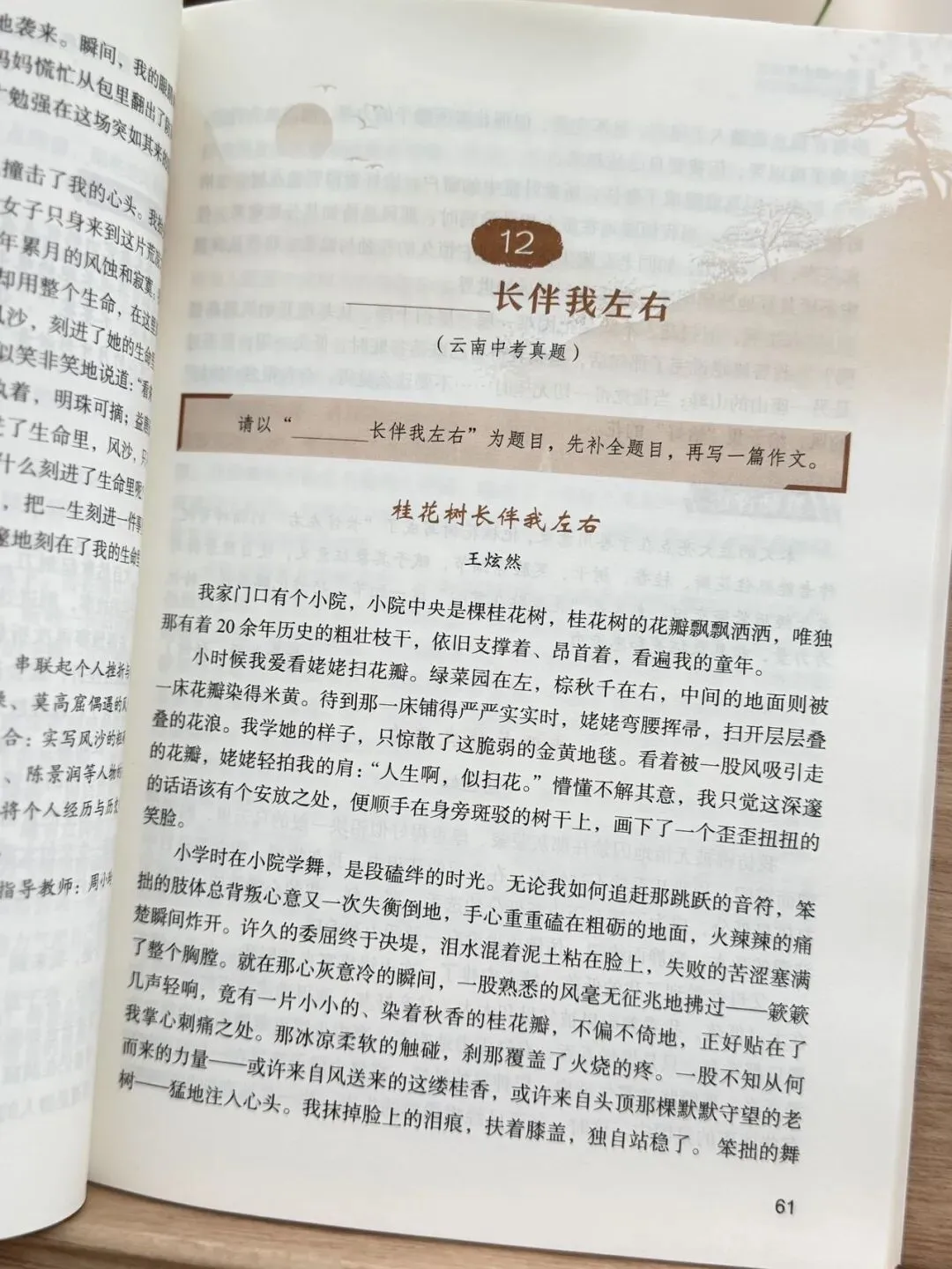 清小虎“中考作文系列”!《真题训练题题通》《分类积累样样全》《少年英才篇篇佳》一条龙解决孩子作文问题-第25张图片-四季读书网