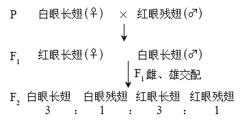 生物高考真题 | 2023年高考生物真题(北京卷)-第4张图片-四季读书网
